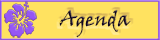 Bekijk hier onze agenda