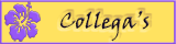 Bekijk de websites van collega's