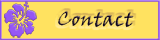 Neem hier contact met ons op